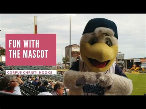 Corpus Christi Hooks' mascot Sammy: A look into the life of a mascot